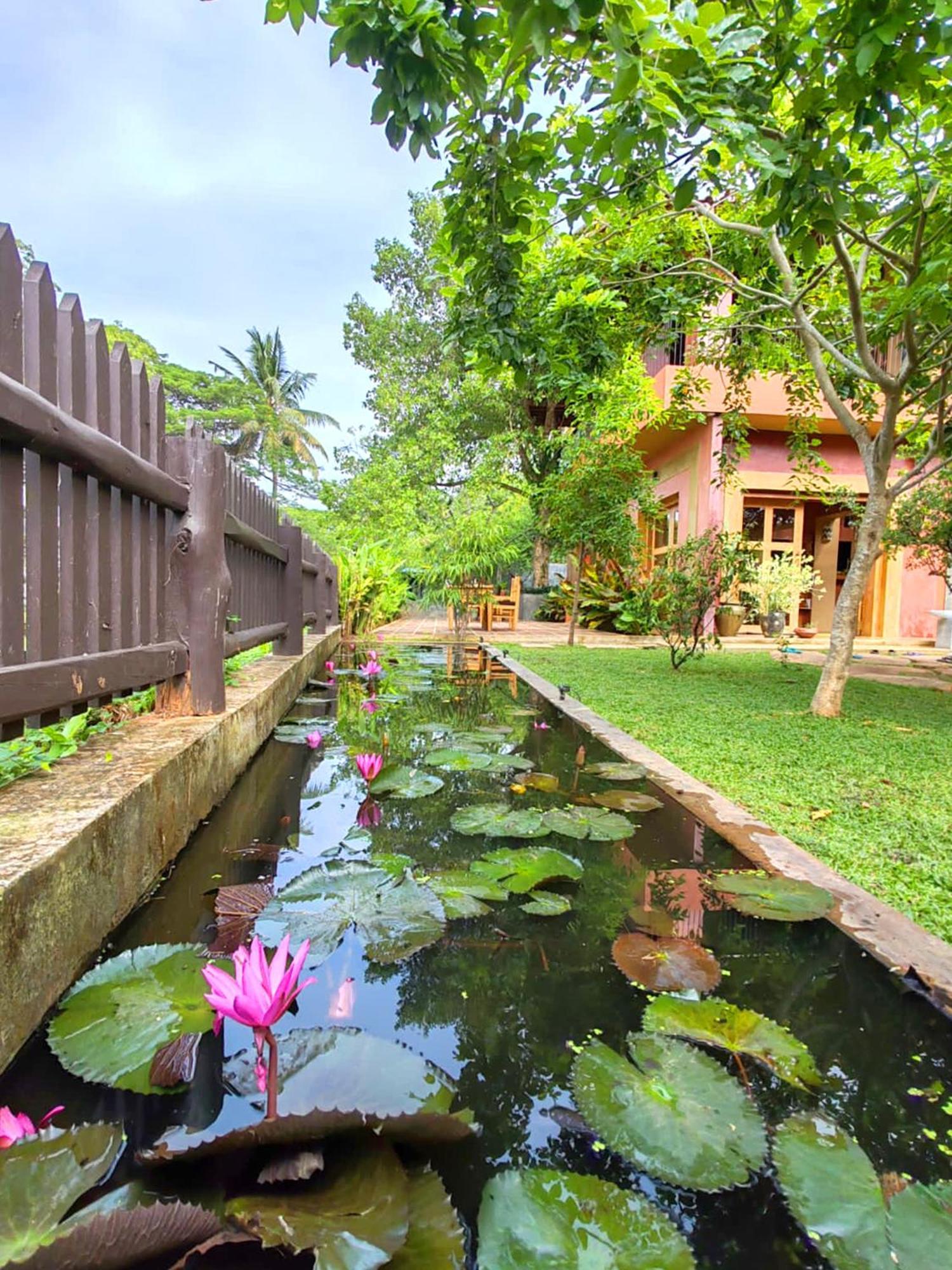 Art Yala Boutique Resort Tissamaharama Exterior photo