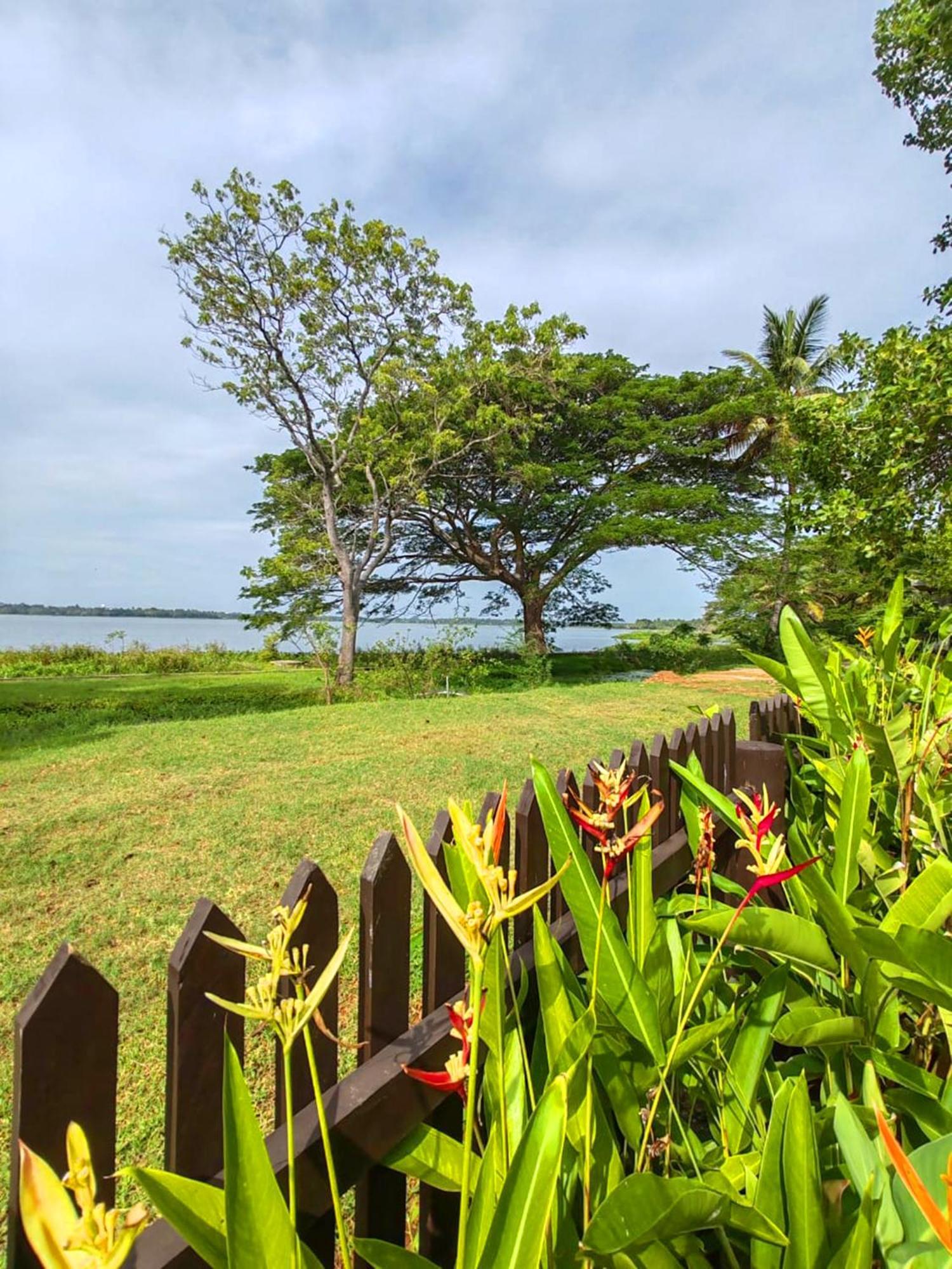 Art Yala Boutique Resort Tissamaharama Exterior photo